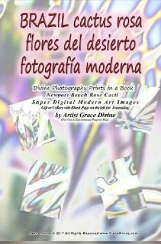 Cover of BRAZIL cactus rosa flores del desierto fotografia moderna Divine Photography Prints in a Book Newport Beach Rose Cacti
