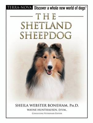 Book cover for The Shetland Sheepdog