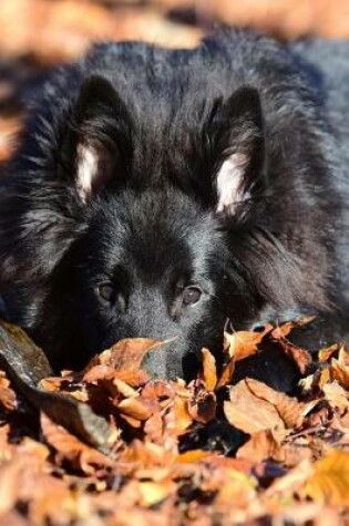 Cover of Belgian Shepherd Dog Groenendael Laying in the Leaves Journal