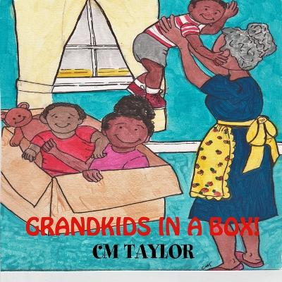 Book cover for Grandkids in a Box!