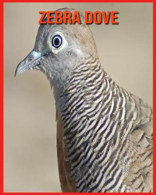 Book cover for Zebra Dove