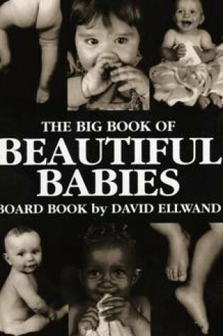 Cover of The Big Book of Beautiful Babies Board Book