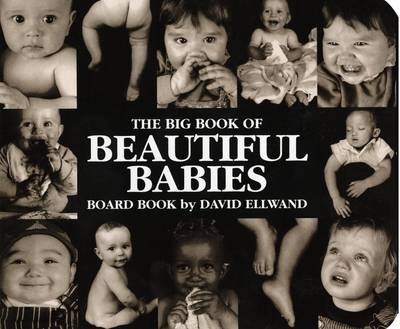 Book cover for The Big Book of Beautiful Babies Board Book