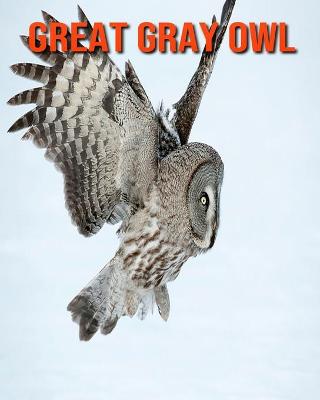 Book cover for Great Gray Owl