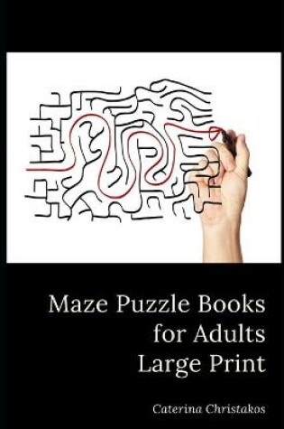 Cover of The Orginal Maze Puzzle Book