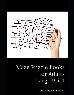 Book cover for The Orginal Maze Puzzle Book