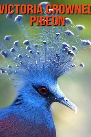 Cover of Victoria Crowned Pigeon