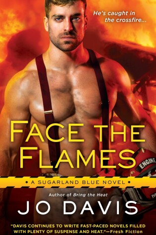 Cover of Face the Flames