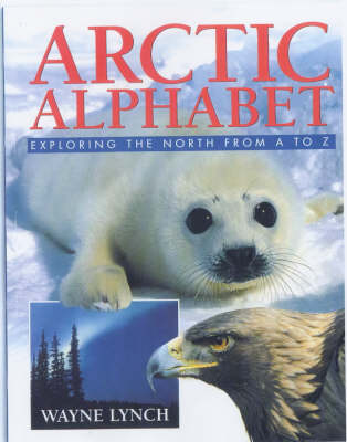 Book cover for Arctic Alphabet