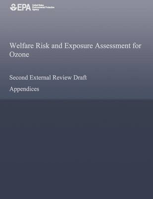 Book cover for Welfare Risk and Exposure Assessment for Ozone Second External Review Draft