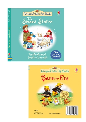 Book cover for The Snow Storm & Barn on Fire