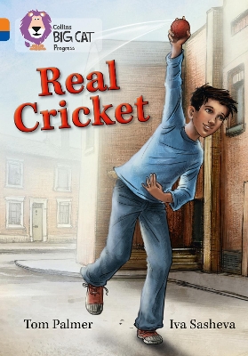 Book cover for Real Cricket