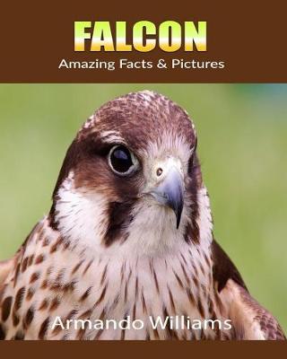 Book cover for Falcon