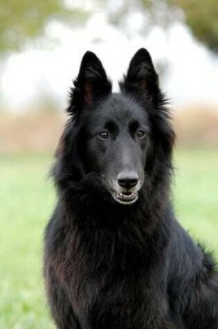 Cover of The Belgian Sheepdog Dog Journal