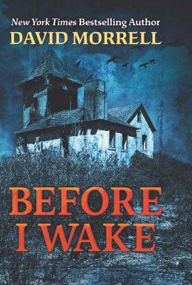 Book cover for Before I Wake