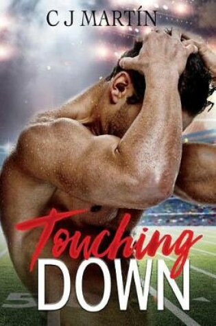 Cover of Touching Down