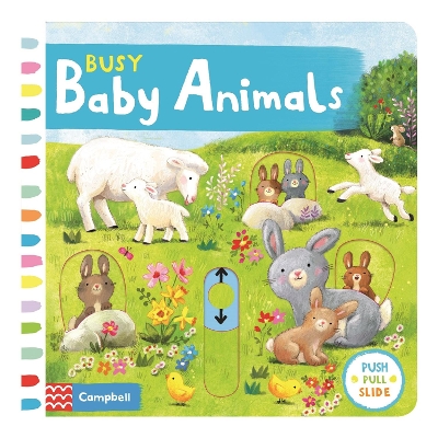 Cover of Busy Baby Animals