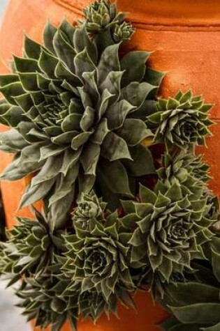Cover of Hens and Chicks Succulent Plants on a Terra Cotta Pot Journal