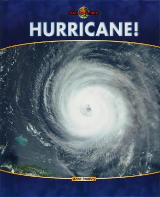 Book cover for Hurricane