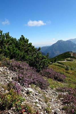 Book cover for Western Tatras Mountains (The Polish Alps) in Poland Journal