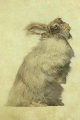 Book cover for English Angora Rabbit