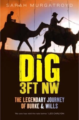 Cover of Dig 3ft NW