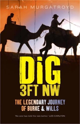 Book cover for Dig 3ft NW