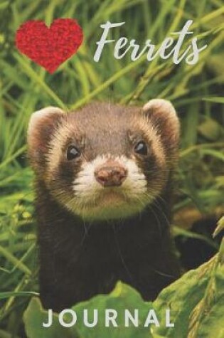 Cover of Ferret Journal