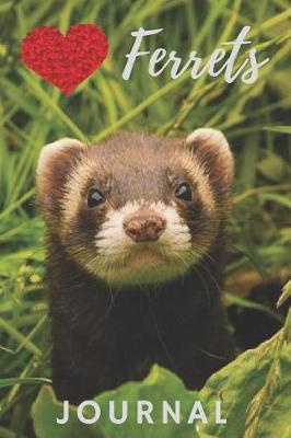 Book cover for Ferret Journal