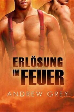 Cover of Erlosung Im Feuer