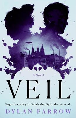 Book cover for Veil