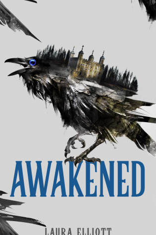 Cover of Awakened