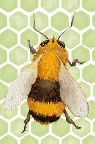 Cover of Bee