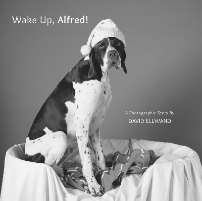 Book cover for Wake Up, Alfred!