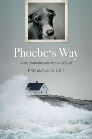 Cover of Phoebe's Way