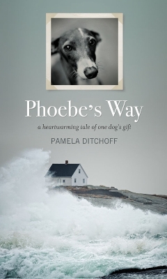 Book cover for Phoebe's Way