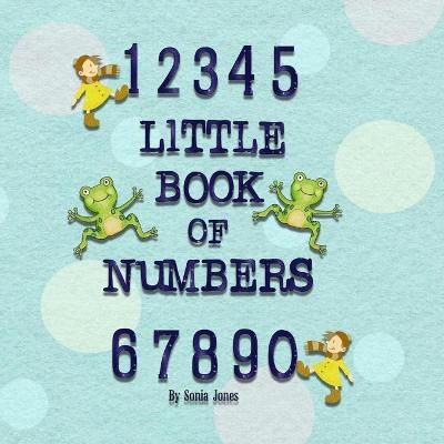 Book cover for 123 little book of numbers