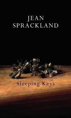 Book cover for Sleeping Keys