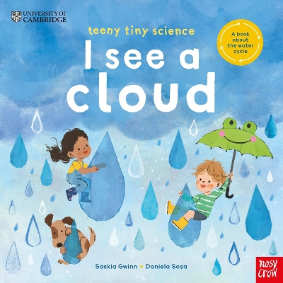 Cover of University of Cambridge: Teeny Tiny Science: I See a Cloud