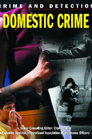 Cover of Domestic Crime