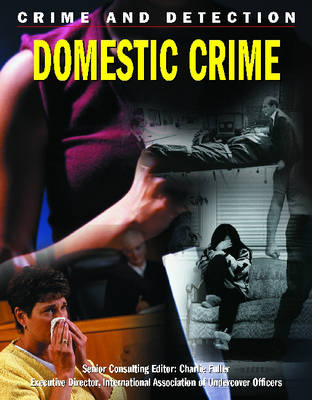 Book cover for Domestic Crime