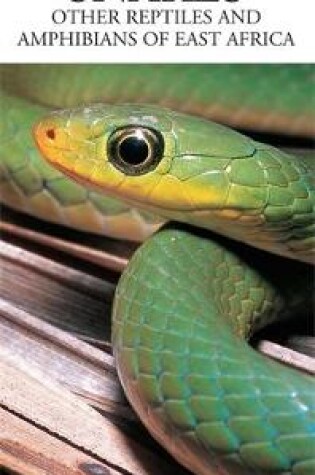 Cover of A photographic guide to snakes