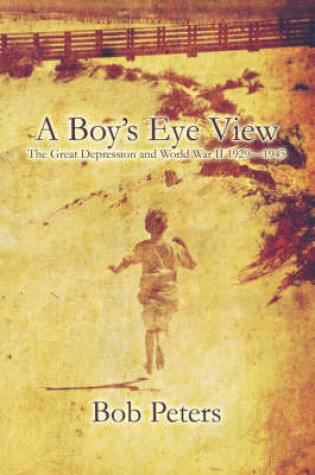 Cover of A Boy's Eye View