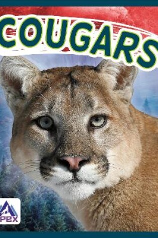 Cover of Cougars