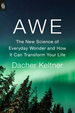 Book cover for Awe