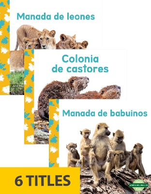 Book cover for Grupos de animales (Animal Groups) (Set of 6)