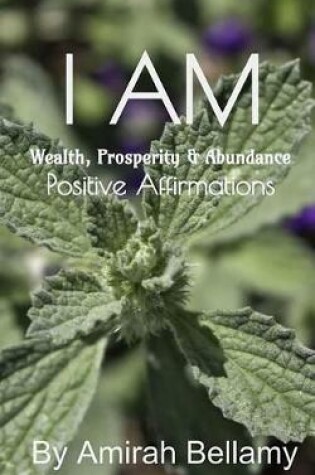 Cover of I Am Wealth, Prosperity & Abundance Positive Affirmations