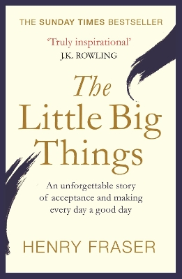 Book cover for The Little Big Things