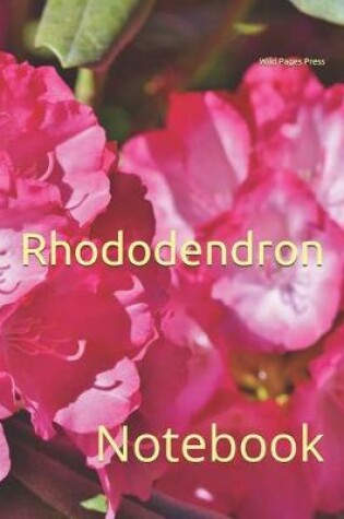 Cover of Rhododendron