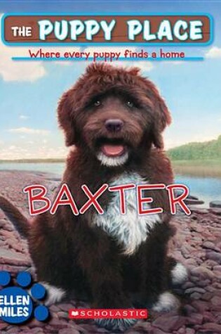 Cover of Baxter